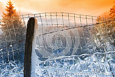 Frozen fence Stock Photo