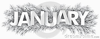 Frozen Fir Twigs January Vector Illustration