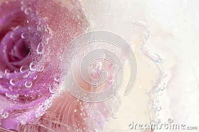 Frozen flora art background Stock Photo