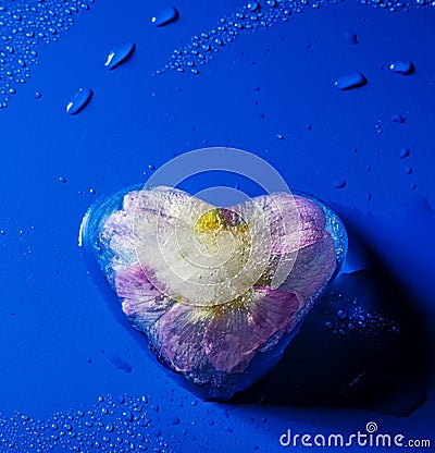 Frozen flower inside ice heart Stock Photo