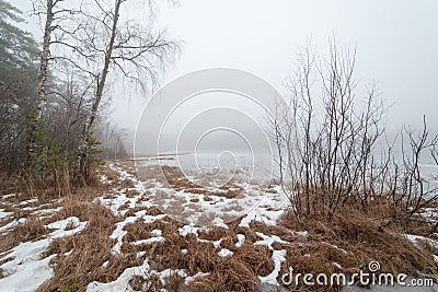 At the frozen foggy lake. Stock Photo