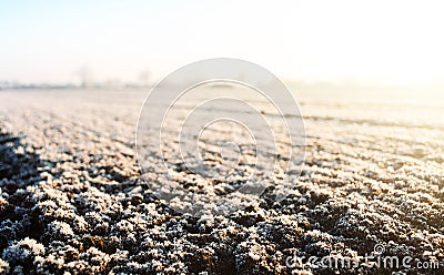 Frozen ground with hoarfrost on a farm field. Weather forecast and development time strategy for sowing growing crops. Stock Photo