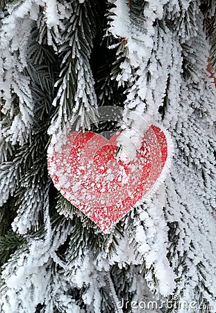 Frozen heart Stock Photo