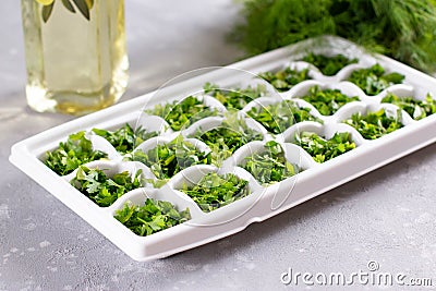 Frozen parsley and dill in an ice cube tray. Frozen herbs for cooking Stock Photo