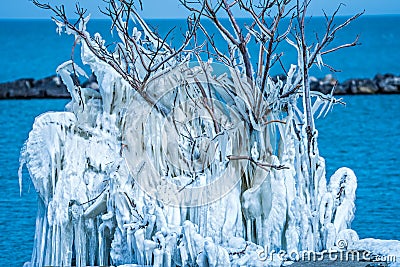 Frozen in ice tree along lake erie ohio Stock Photo