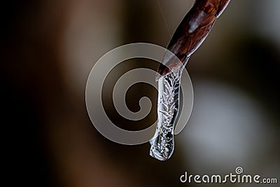 Frozen icicle with detailed structures Stock Photo