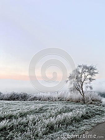 Paisaje helado Stock Photo