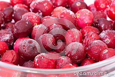 Frozen lingonberry berries close-up on a white background Stock Photo