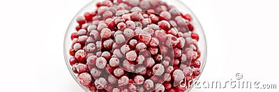 Frozen lingonberry in bowl close up on white plate on white. Banner. Top view. Copy space Stock Photo