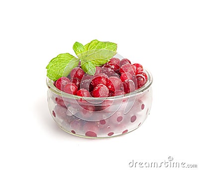 Frozen Lingonberry, Iced Cowberry, Snow Cranberry, Red Viburnum Berries, Frozen Lingonberry Stock Photo