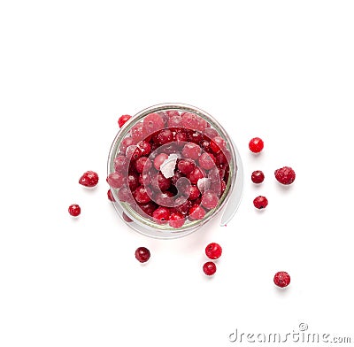 Frozen Lingonberry, Iced Cowberry, Snow Cranberry, Red Viburnum Berries, Frozen Lingonberry Stock Photo