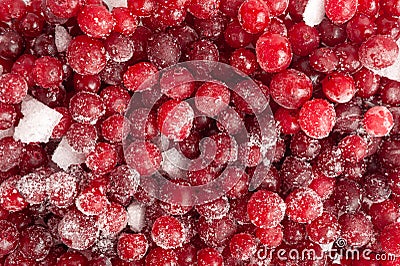 Frozen Lingonberry, Iced Cowberry, Snow Cranberry, Red Viburnum Berries, Frozen Lingonberry Stock Photo