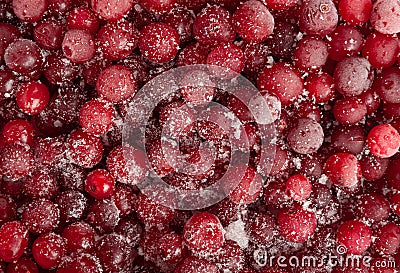 Frozen Lingonberry, Iced Cowberry, Snow Cranberry, Red Viburnum Berries, Frozen Lingonberry Stock Photo