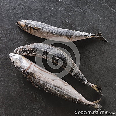 Frozen mackerel fish or sea bream on slate stone background. Seafood Stock Photo