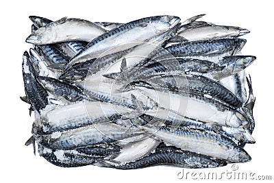 Frozen mackerel isolated. Frozen group of fish. Iced fish. Heap of mackerel isolated on white background. Mackerel pattern. Macker Stock Photo