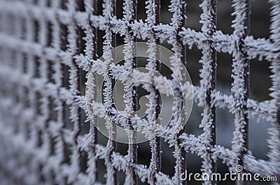 Frozen metal fence Stock Photo