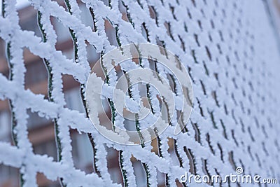 Frozen metal iron chequer grid covered with frost in winter Stock Photo