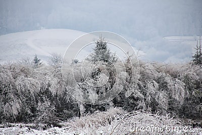 Frozen nature Stock Photo