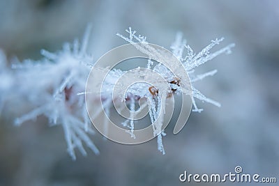 Frozen nature background. Blue background. High resolution photo. Stock Photo