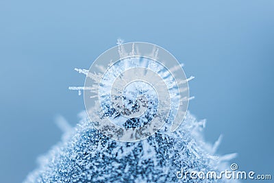 Frozen nature background. Blue background. High resolution photo. Stock Photo