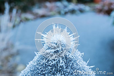 Frozen nature background. Blue background. High resolution photo. Stock Photo
