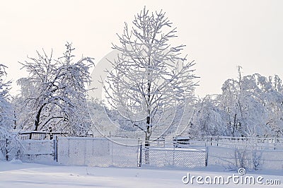 Frozen nature Stock Photo