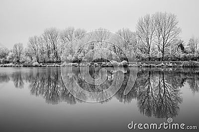 Frozen Nature By River Elbe-Celakovice, Czech Rep. Stock Photo