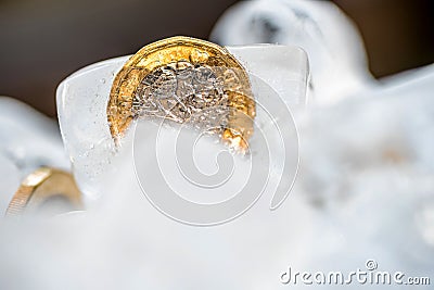 Frozen New British one pound sterling coin up close macro inside ice cubes Editorial Stock Photo