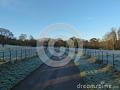 Frozen Path Killarney National Park Kerry Ireland Stock Photo