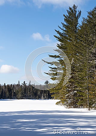 Frozen Peck Lake in Algonquin Park in the winter Stock Photo