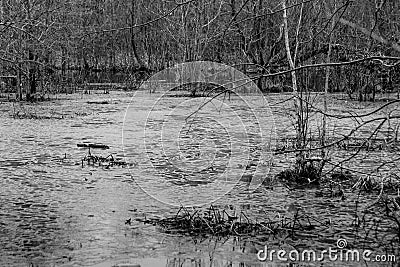 A frozen pond is melting after a deep freeze. Stock Photo