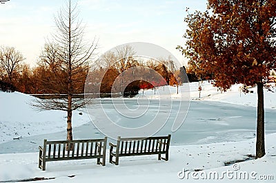 Frozen Pond in Winter Stock Photo
