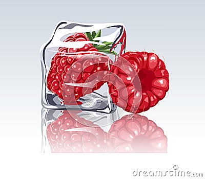 Frozen raspberry in ice cube Vector Illustration