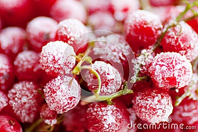 Frozen red currant berries. Stock Photo