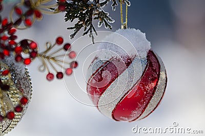 Frozen Red Striped Christmas Ornament Decorating a Snowy Outdoor Tree Stock Photo
