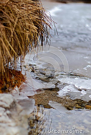 Frozen reed at the dock Stock Photo