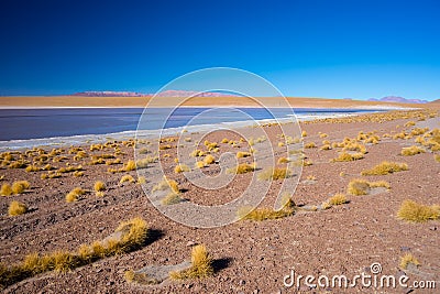 Frozen salt lake on the Andes, road trip to the famous Uyuni Salt Flat, travel destination in Bolivia. Stock Photo