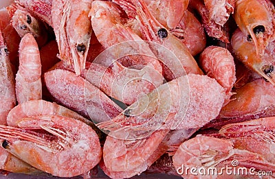 Frozen shrimps Stock Photo