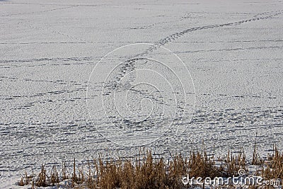 Frozen and snow-covered body of water with traces of people in a snowy winter city park Stock Photo