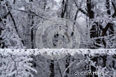 Frozen snow on an electrical wire Stock Photo