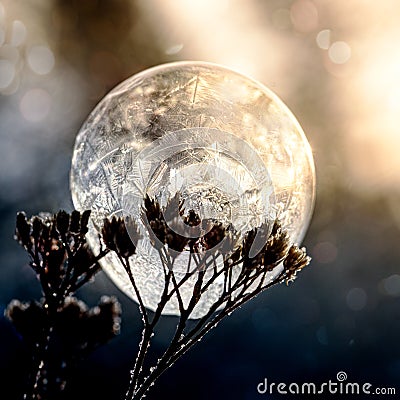 Frozen soap bubble Stock Photo