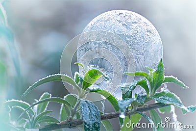 A frozen soap bubble Stock Photo