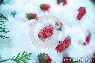 Frozen strawberries in the snow and ice Stock Photo