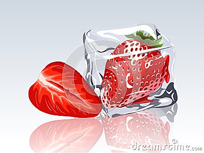 Frozen strawberry in ice cube Vector Illustration
