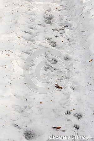 Frozen tire track on a snowy road, road blocking vertical Stock Photo