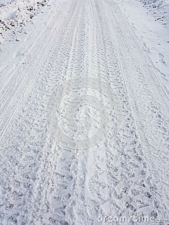 Frozen tire tracks Stock Photo