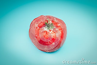 Frozen tomato on blue background Stock Photo