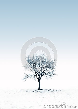 Frozen tree on a snowy day Stock Photo