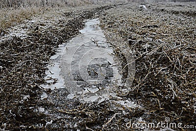 Frozen water in a lane after agricultural mechanism or vehicle on field during winter season, frozen naked trees in background. Stock Photo