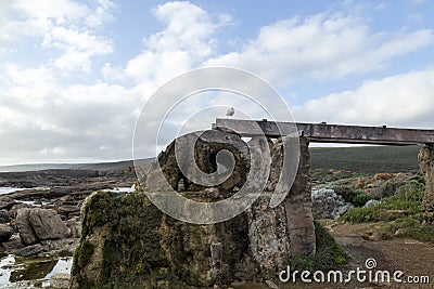 Frozen Water Wheel Stock Photo